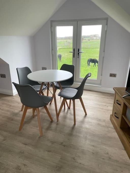 Appaloosa Suite With Amazing Views Of Stud Farm. Driffield Bagian luar foto